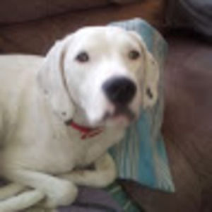 Meet your Posher, Nanette